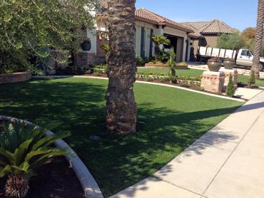 Artificial Grass Photos: Artificial Pet Grass Anaheim California Landscape